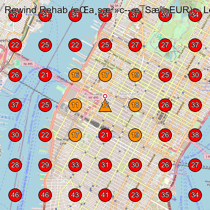 Rewind Rehab (eŒa¸sæ²»c---e¯Sæ‰EUR) GeoGrid visibility map for Occupational Therapist in New York